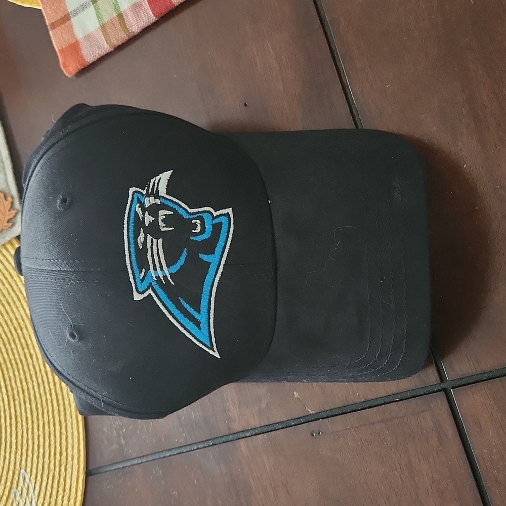 Carolina panthers nfl hat
